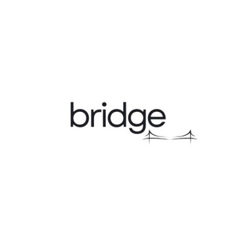 bridge project logo